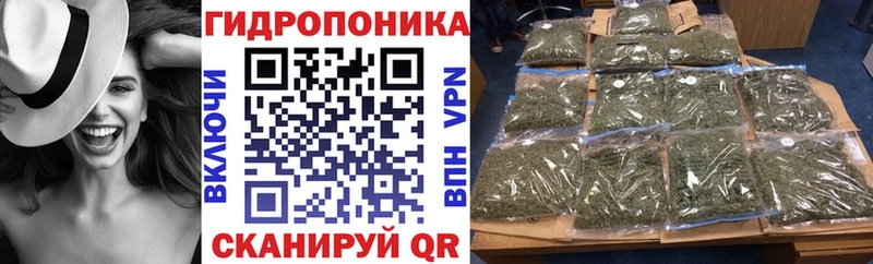 Магазины продажи наркотиков Кингисепп ГАШ Амфетамин МЕФ БУТИРАТ Марихуана
