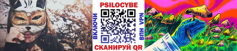 купить закладку OMG рабочий сайт Галлюциногенные грибы мухоморы Кингисепп